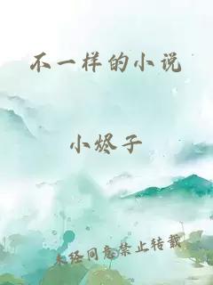 不一樣的小說
