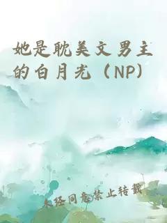 她是耽美文男主的白月光（NP）