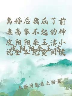 離婚后我成了前妻高攀不起的神皮陽陽秦玉潔小說全本免費閱讀