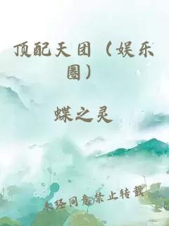 頂配天團（娛樂圈）