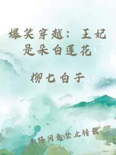 爆笑穿越：王妃是朵白蓮花