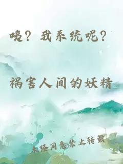 咦？我系統呢？