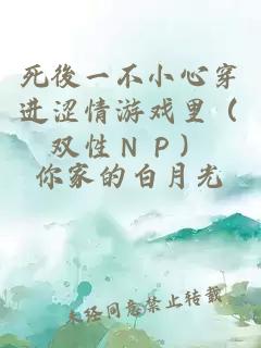 死後一不小心穿進澀情游戲里（雙性ＮＰ）