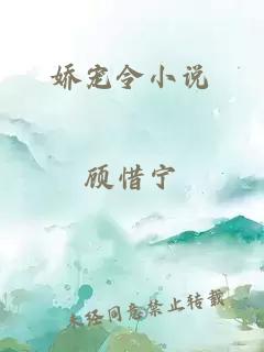 嬌寵令小說