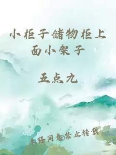 小柜子儲物柜上面小架子